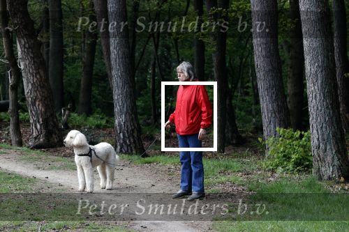 Rolde 19 mei 2021
Johan Derksen aan het wandelen met zijn hond in de boosen bij Rolde