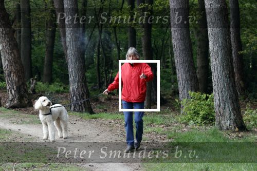Rolde 19 mei 2021
Johan Derksen aan het wandelen met zijn hond in de boosen bij Rolde