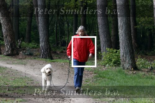 Rolde 19 mei 2021
Johan Derksen aan het wandelen met zijn hond in de boosen bij Rolde