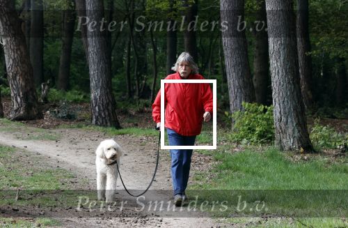 Rolde 19 mei 2021
Johan Derksen aan het wandelen met zijn hond in de boosen bij Rolde