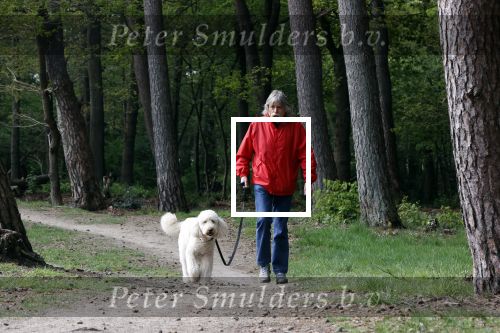 Rolde 19 mei 2021
Johan Derksen aan het wandelen met zijn hond in de boosen bij Rolde