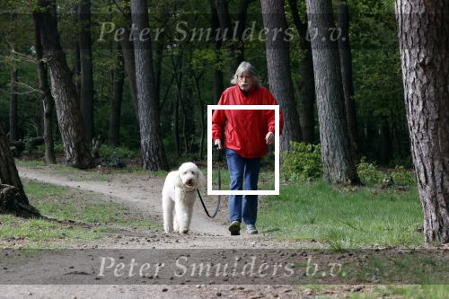 Rolde 19 mei 2021
Johan Derksen aan het wandelen met zijn hond in de boosen bij Rolde