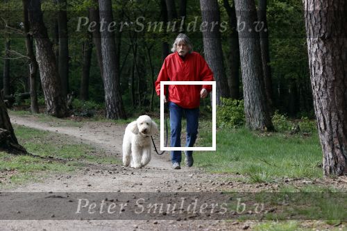 Rolde 19 mei 2021
Johan Derksen aan het wandelen met zijn hond in de boosen bij Rolde
