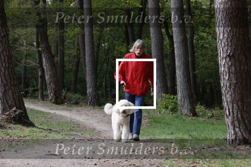 Rolde 19 mei 2021
Johan Derksen aan het wandelen met zijn hond in de boosen bij Rolde