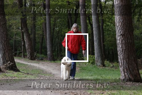 Rolde 19 mei 2021
Johan Derksen aan het wandelen met zijn hond in de boosen bij Rolde