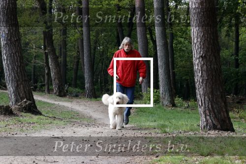 Rolde 19 mei 2021
Johan Derksen aan het wandelen met zijn hond in de boosen bij Rolde