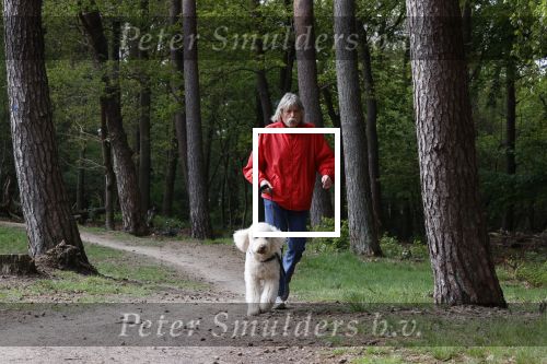 Rolde 19 mei 2021
Johan Derksen aan het wandelen met zijn hond in de boosen bij Rolde