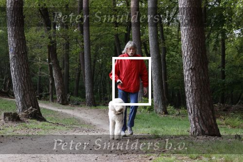 Rolde 19 mei 2021
Johan Derksen aan het wandelen met zijn hond in de boosen bij Rolde