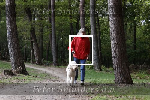 Rolde 19 mei 2021
Johan Derksen aan het wandelen met zijn hond in de boosen bij Rolde
