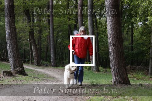 Rolde 19 mei 2021
Johan Derksen aan het wandelen met zijn hond in de boosen bij Rolde