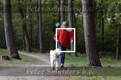 Rolde 19 mei 2021
Johan Derksen aan het wandelen met zijn hond in de boosen bij Rolde