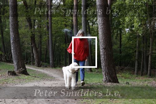 Rolde 19 mei 2021
Johan Derksen aan het wandelen met zijn hond in de boosen bij Rolde