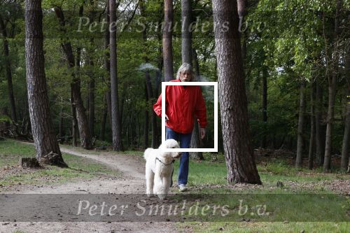 Rolde 19 mei 2021
Johan Derksen aan het wandelen met zijn hond in de boosen bij Rolde