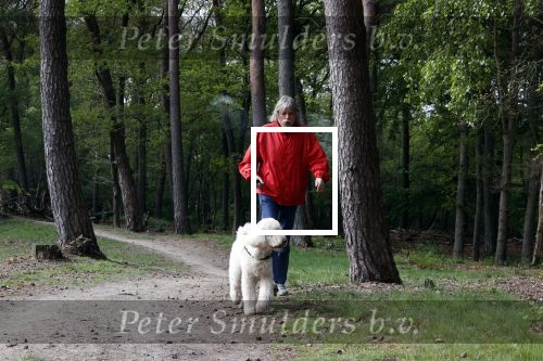 Rolde 19 mei 2021
Johan Derksen aan het wandelen met zijn hond in de boosen bij Rolde