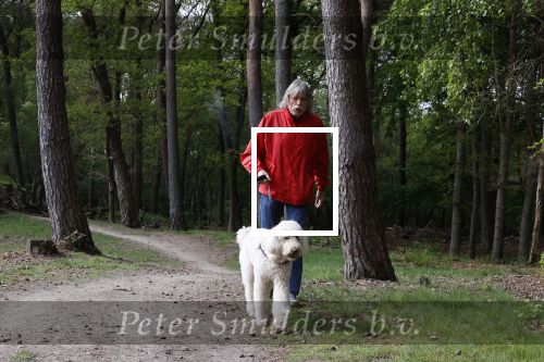 Rolde 19 mei 2021
Johan Derksen aan het wandelen met zijn hond in de boosen bij Rolde