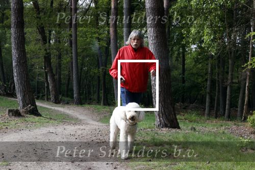 Rolde 19 mei 2021
Johan Derksen aan het wandelen met zijn hond in de boosen bij Rolde