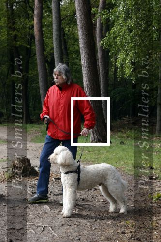 Rolde 19 mei 2021
Johan Derksen aan het wandelen met zijn hond in de boosen bij Rolde