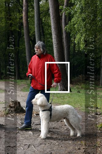 Rolde 19 mei 2021
Johan Derksen aan het wandelen met zijn hond in de boosen bij Rolde