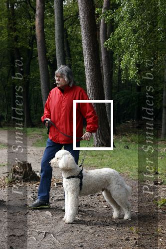 Rolde 19 mei 2021
Johan Derksen aan het wandelen met zijn hond in de boosen bij Rolde