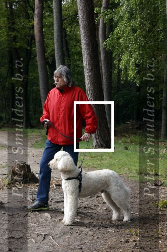 Rolde 19 mei 2021
Johan Derksen aan het wandelen met zijn hond in de boosen bij Rolde