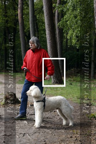 Rolde 19 mei 2021
Johan Derksen aan het wandelen met zijn hond in de boosen bij Rolde