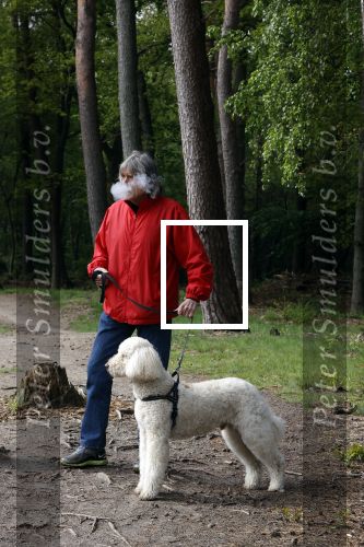 Rolde 19 mei 2021
Johan Derksen aan het wandelen met zijn hond in de boosen bij Rolde