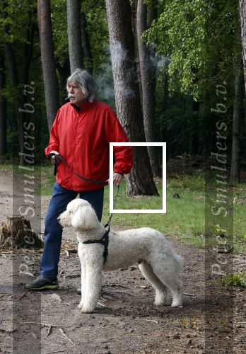 Rolde 19 mei 2021
Johan Derksen aan het wandelen met zijn hond in de boosen bij Rolde