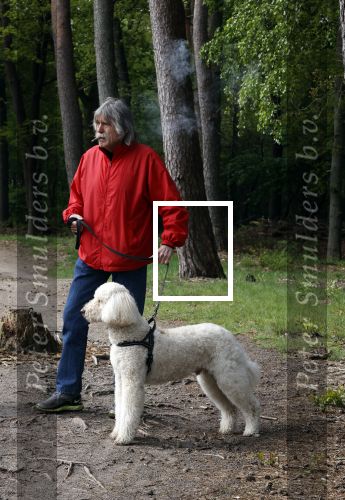 Rolde 19 mei 2021
Johan Derksen aan het wandelen met zijn hond in de boosen bij Rolde