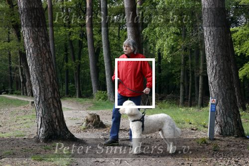 Rolde 19 mei 2021
Johan Derksen aan het wandelen met zijn hond in de boosen bij Rolde