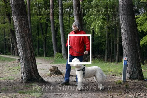 Rolde 19 mei 2021
Johan Derksen aan het wandelen met zijn hond in de boosen bij Rolde