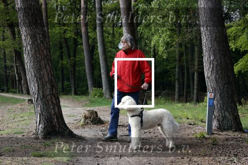 Rolde 19 mei 2021
Johan Derksen aan het wandelen met zijn hond in de boosen bij Rolde