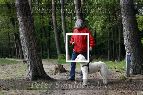 Rolde 19 mei 2021
Johan Derksen aan het wandelen met zijn hond in de boosen bij Rolde