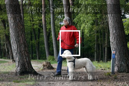 Rolde 19 mei 2021
Johan Derksen aan het wandelen met zijn hond in de boosen bij Rolde