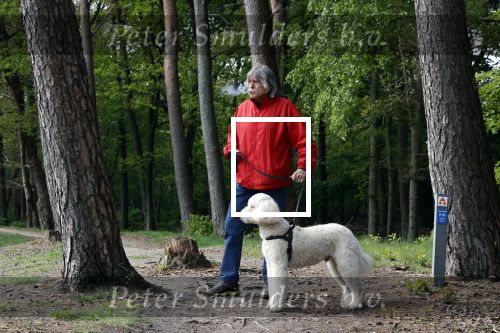 Rolde 19 mei 2021
Johan Derksen aan het wandelen met zijn hond in de boosen bij Rolde