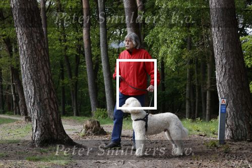 Rolde 19 mei 2021
Johan Derksen aan het wandelen met zijn hond in de boosen bij Rolde