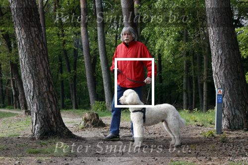 Rolde 19 mei 2021
Johan Derksen aan het wandelen met zijn hond in de boosen bij Rolde