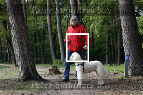 Rolde 19 mei 2021
Johan Derksen aan het wandelen met zijn hond in de boosen bij Rolde