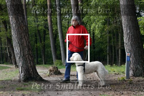 Rolde 19 mei 2021
Johan Derksen aan het wandelen met zijn hond in de boosen bij Rolde