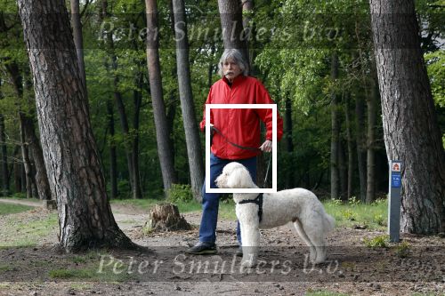 Rolde 19 mei 2021
Johan Derksen aan het wandelen met zijn hond in de boosen bij Rolde