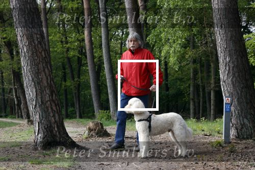 Rolde 19 mei 2021
Johan Derksen aan het wandelen met zijn hond in de boosen bij Rolde