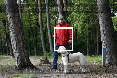 Rolde 19 mei 2021
Johan Derksen aan het wandelen met zijn hond in de boosen bij Rolde