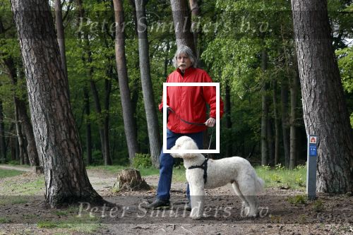 Rolde 19 mei 2021
Johan Derksen aan het wandelen met zijn hond in de boosen bij Rolde
