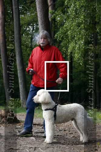 Rolde 19 mei 2021
Johan Derksen aan het wandelen met zijn hond in de boosen bij Rolde
