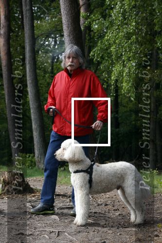 Rolde 19 mei 2021
Johan Derksen aan het wandelen met zijn hond in de boosen bij Rolde