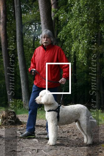 Rolde 19 mei 2021
Johan Derksen aan het wandelen met zijn hond in de boosen bij Rolde