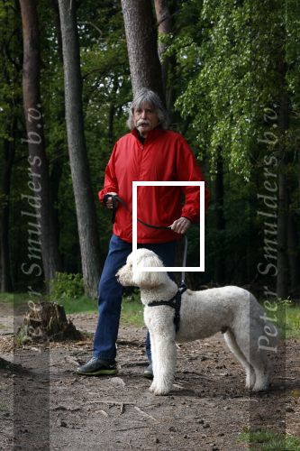 Rolde 19 mei 2021
Johan Derksen aan het wandelen met zijn hond in de boosen bij Rolde