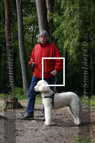 Rolde 19 mei 2021
Johan Derksen aan het wandelen met zijn hond in de boosen bij Rolde