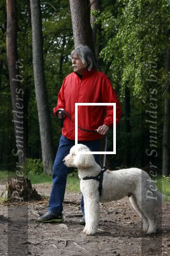 Rolde 19 mei 2021
Johan Derksen aan het wandelen met zijn hond in de boosen bij Rolde