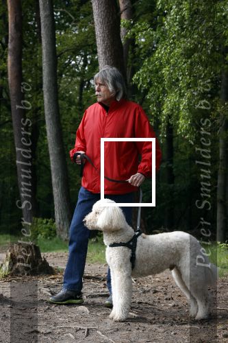 Rolde 19 mei 2021
Johan Derksen aan het wandelen met zijn hond in de boosen bij Rolde
