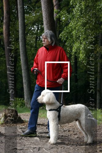 Rolde 19 mei 2021
Johan Derksen aan het wandelen met zijn hond in de boosen bij Rolde